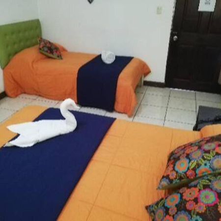 Best Hostel San Jose מראה חיצוני תמונה